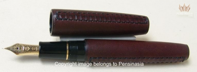 Leather on sale fountain pen