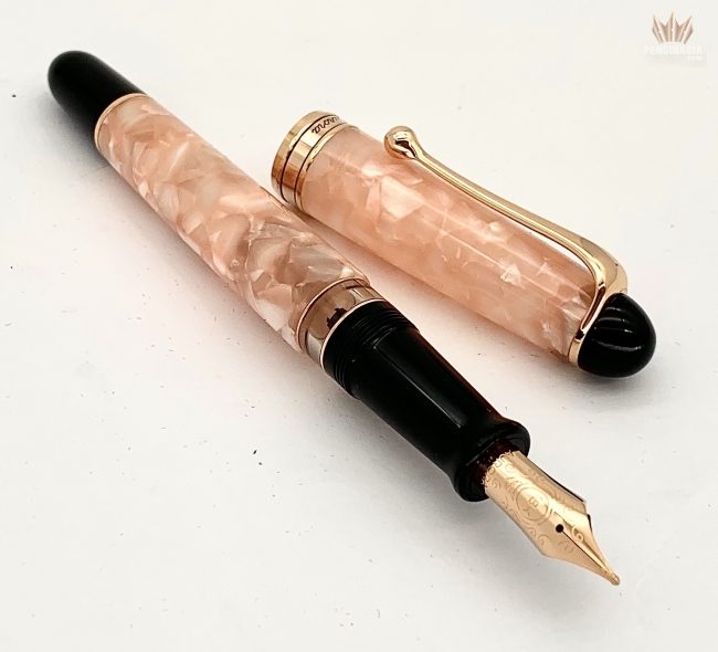 Aurora Pensinasia - Fine Writing Instruments | Products